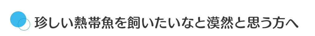 珍しい熱帯魚を買いたいなと漠然と思う方へ