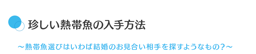 珍しい熱帯魚の入手方法