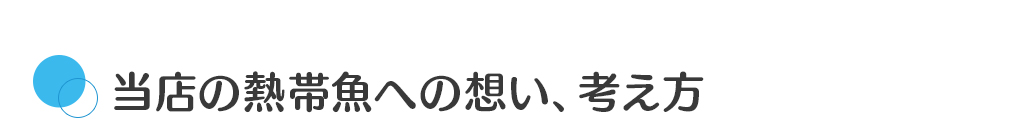 当店の熱帯魚への想い、考え方