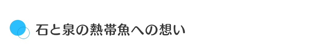 石と泉の熱帯魚への想い